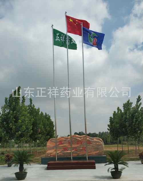 山東正祥藥業(yè)有限公司